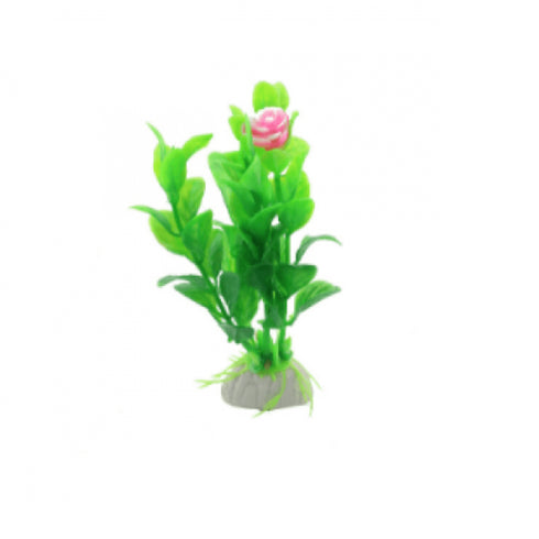 Planta decor pentru acvariu Enjoy Dracena Firebrand 10 cm